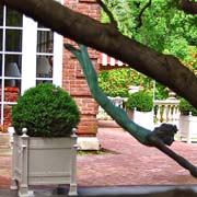Terrace Extension
